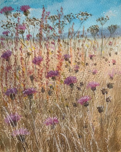 Scabiosa scura da Lincoln Seligman