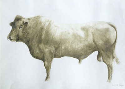 Toro di Islay, 2004 da Lincoln Seligman