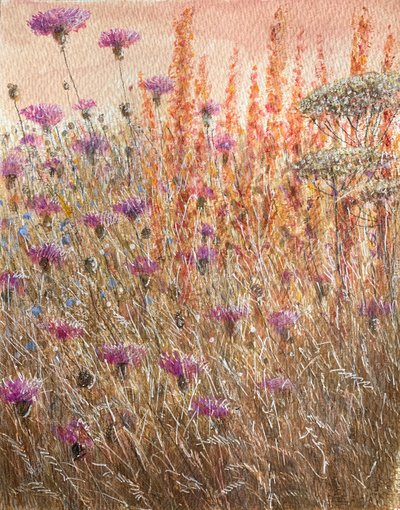 Scabiosa e banchine da Lincoln Seligman