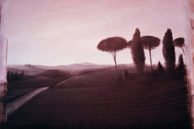 Paesaggio toscano, 1992 da Lincoln Seligman