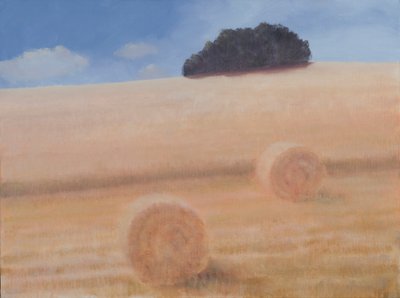 Due balle di fieno, 2012 da Lincoln Seligman