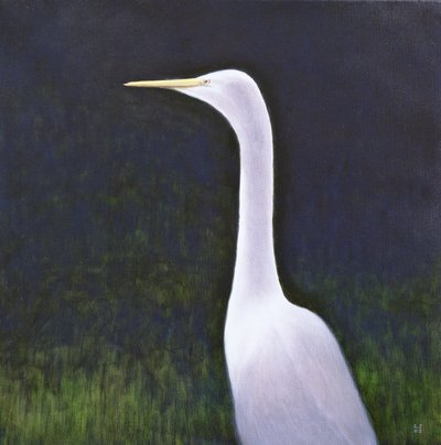 Airone bianco da Lincoln Seligman