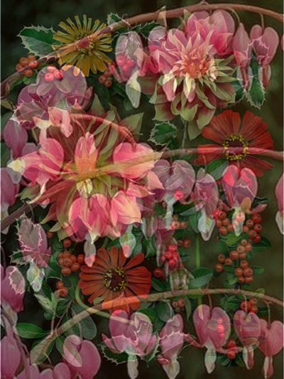 COLLAGE DI MOLLE APPESE, 2017 (tecnica mista) da linda arthurs