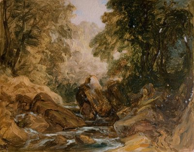 Torrente di Montagna e Rocce, [19° secolo] da Lines Family