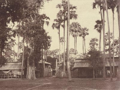 Amerapoora: Porta Ovest del Recinto della Residenza da Linnaeus Tripe