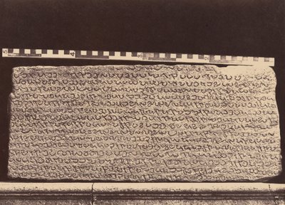 Marmi Elliot, 1859 (foto) da Linnaeus Tripe