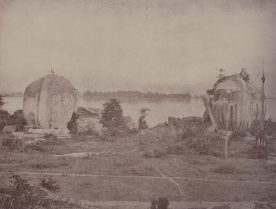 Mengoon: Grifoni in rovina da Linnaeus Tripe