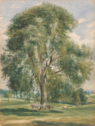 Un Grande Albero in un Paesaggio Estivo, un Cavallo alla Base da Lionel Constable