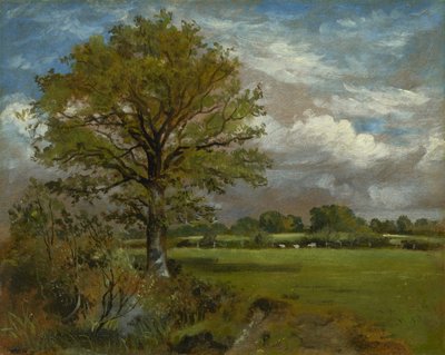 Albero in un prato, c.1850 da Lionel Constable