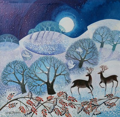 Terra Nevosa da Lisa Graa Jensen