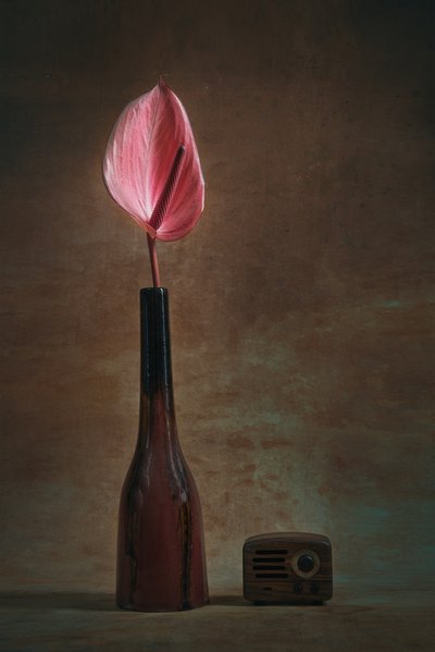  da Liu Xing