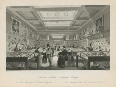 Sala zoologica al British Museum da Llewellyn Jewitt