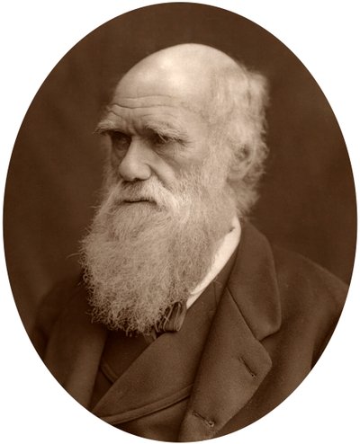 Charles Darwin, 1878 da Lock and Whitfield