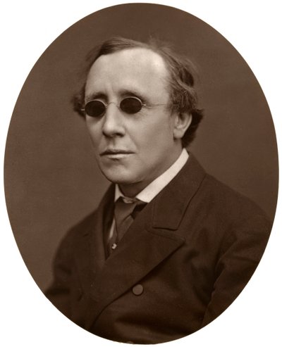Henry Fawcett, MP, Professore di Economia Politica all