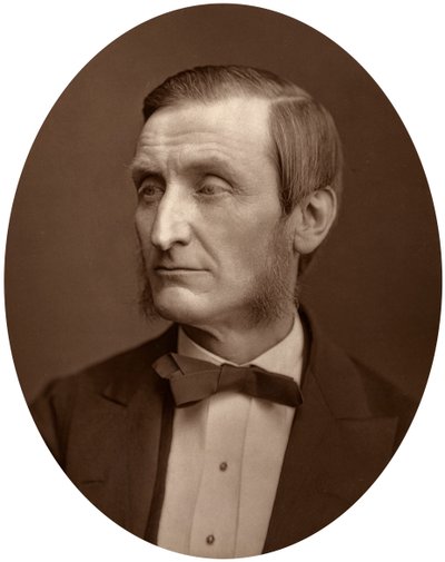 John Hall Gladstone, Presidente della Società Chimica, 1880 da Lock and Whitfield