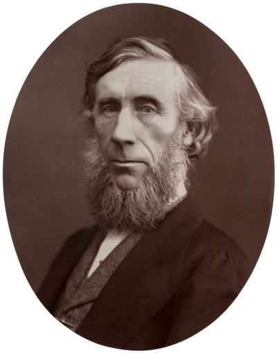 John Tyndall, DCL, LLD, FRS, Professore di Filosofia Naturale alla Royal Institution, 1877 da Lock and Whitfield