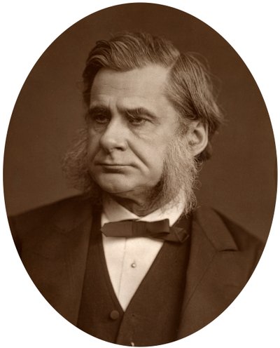 Professor Thomas Henry Huxley, 1880 da Lock and Whitfield