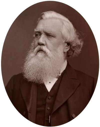 Onorevole Austen Henry Layard DCL, Ambasciatore Britannico a Costantinopoli, 1877 da Lock and Whitfield