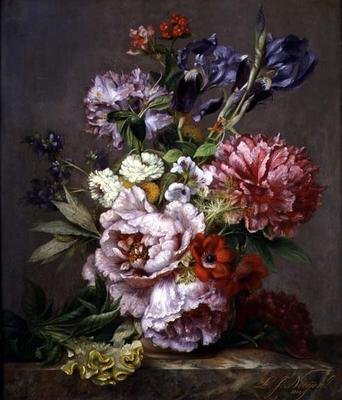Immagine sconosciuta da Lodewijk Johannes Nooijen