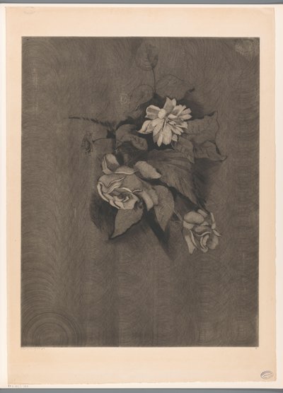 Composizione floreale con rose da Lodewijk Schelfhout (signed by artist)