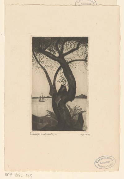 Ulivo in Corsica da Lodewijk Schelfhout (signed by artist)