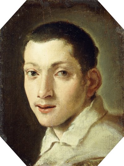 Testa di un giovane da Lodovico Carracci