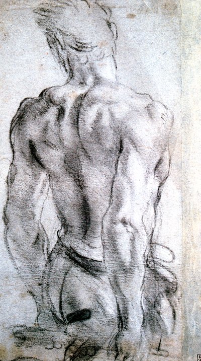 Studio di una figura, c1560-1609 da Lodovico Carracci