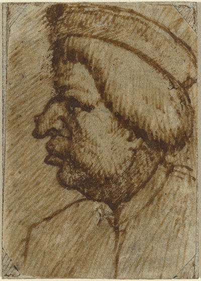 Profilo di un uomo da Lombard 16th Century