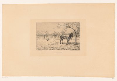 Paesaggio con asino da Léon Barillot