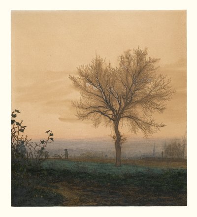 Paesaggio con un albero spoglio e un aratore da Léon Bonvin