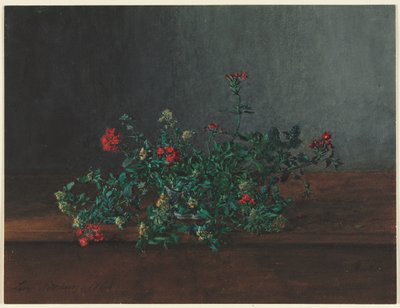Natura Morta con Fiori di Campo da Léon Bonvin