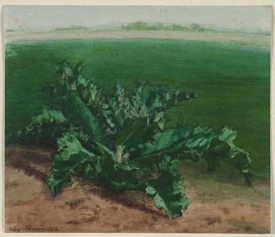 Studio di una Pianta, Possibilmente Cardo da Léon Bonvin