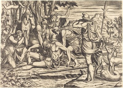 La Morte di Adone da Léon Davent after Luca Penni