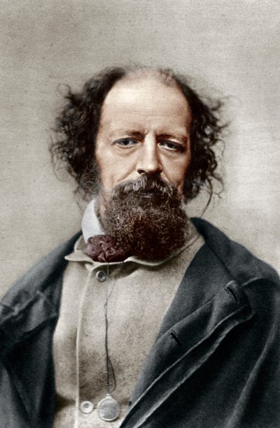 Alfred, Lord Tennyson, Poeta Laureato del Regno Unito, c1867 da London Stereoscopic and Photographic Co