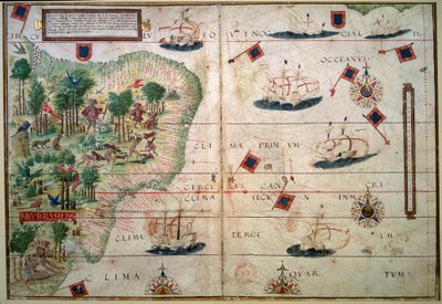 Carta idrografica del Brasile - Manoscritto miniato "Atlante Nautico Portoghese" del cartografo Loppo Homem 1519 Parigi. B.N. - Carta idrografica del Brasile - Dal manoscritto miniato "Atlante Nautico Inglese" di Loppo Homem (XVI secolo) da Lopo Homem