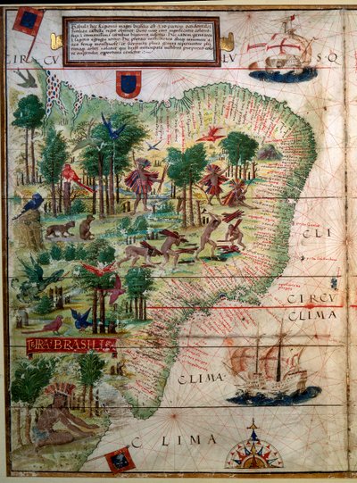 Mappa idrografica del Brasile da Lopo Homem
