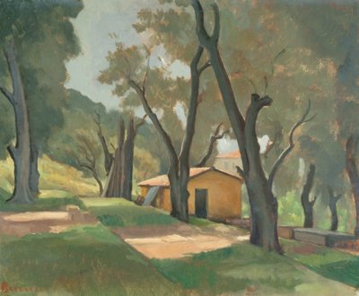 Giardino terrazzato, Mentone da Lord Gerald Berners