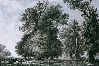 Paesaggio con querce da Lorenz Adolf Schönberger