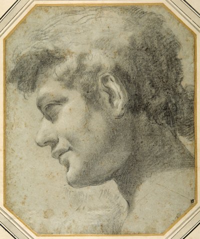 Testa di giovane di profilo, guardando in basso da Lorenzo  Garbieri