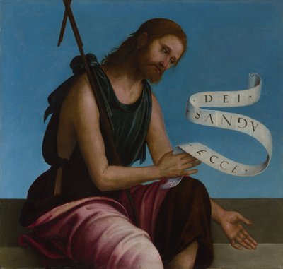 San Giovanni Battista Pala d