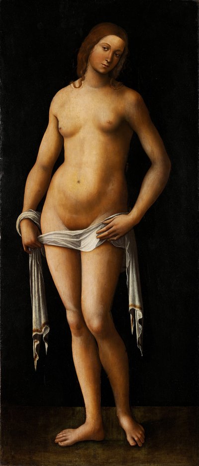 Venere da Lorenzo Costa