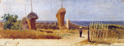 Castiglioncello da Lorenzo Gelati