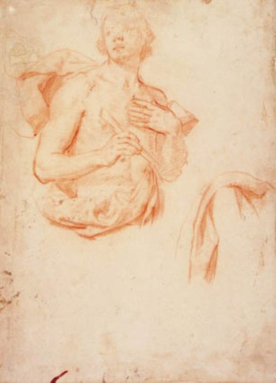 Giovane uomo, mezzo busto con torso nudo, e uno studio di drappeggio da Lorenzo Lippi