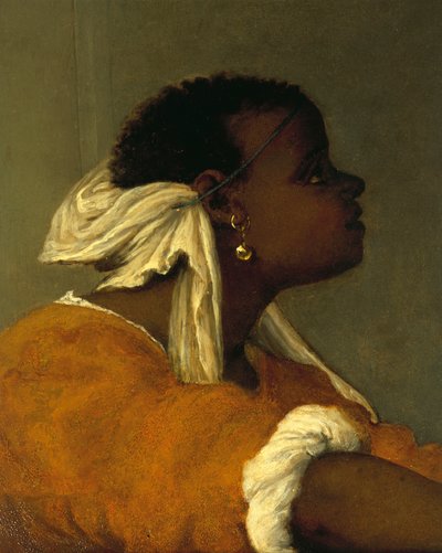 Pala d