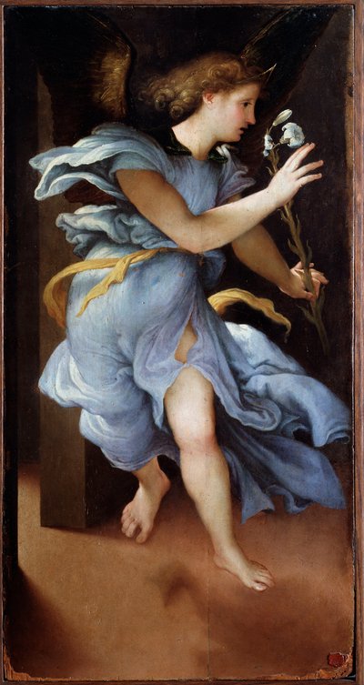 Angelo dell