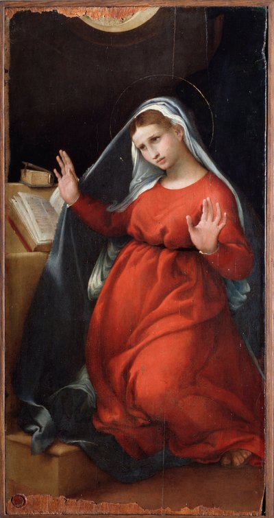 Vergine dell