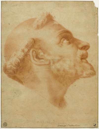 Testa rovesciata di San Domenico da Lorenzo Sabbatini