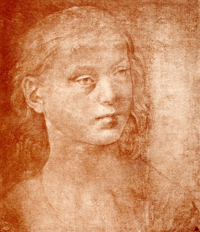 Testa di ragazza da Lorenzo di Credi