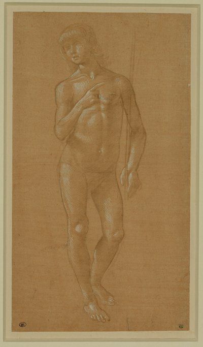 Giovane nudo, a figura intera, che tiene in mano un bastone Pennino d