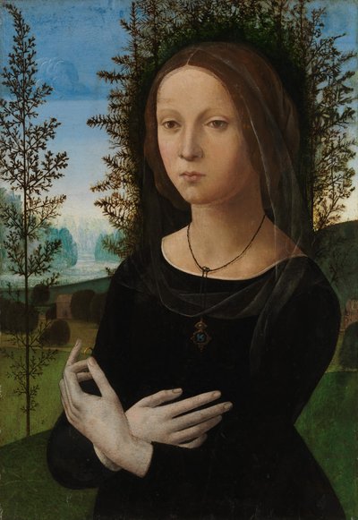 Ritratto di una giovane donna da Lorenzo di Credi